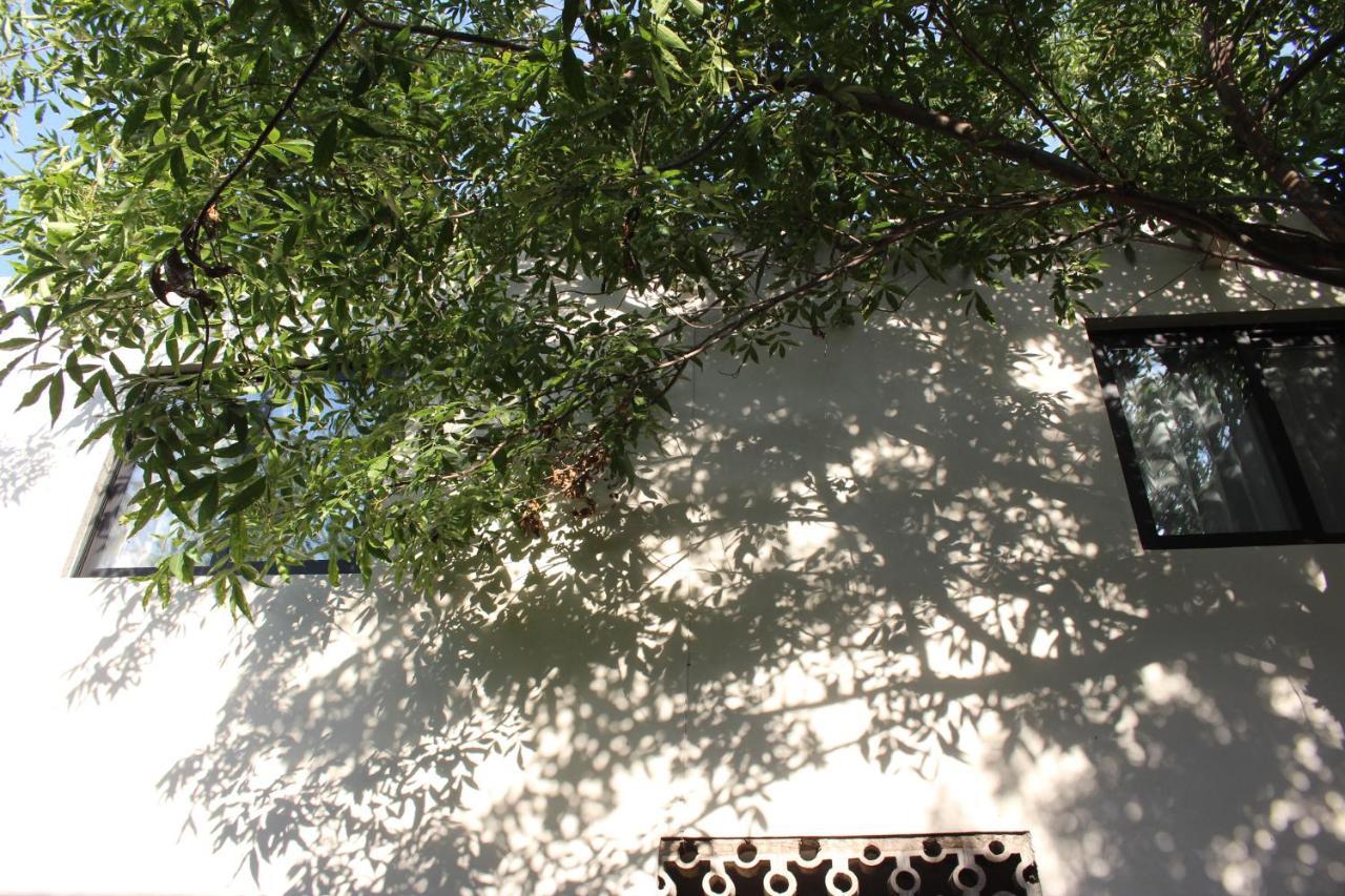 Entre Patios Hotel Boutique Λεόν Εξωτερικό φωτογραφία